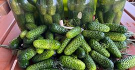 Venta de pepinos molidos. Perfecto para conservas - pepinillos,