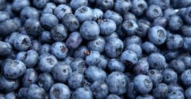 Hola . Recojo bayas por encargo.