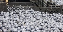 Lo invitamos a cooperar con nosotros, tenemos nuestras propias