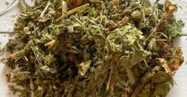 Venderé hierba de malvavisco (Althaea herba), en grandes cantidades