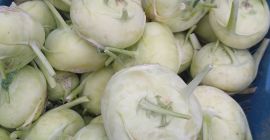 Colinabo para la venta. Grandes cantidades, calibre según sea