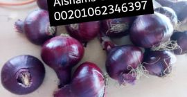 Somos ALshams para importación y exportación en general. Podemos