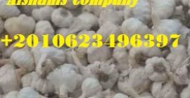 Somos ALshams para importación y exportación en general. Podemos