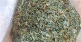 VENTA AL POR MAYOR DE VERDURAS SECAS (CIENTOS DE