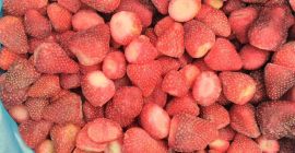 fresa de Egipto, variedad Festival, congelada, no calibrada, 15-25