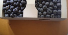 Venderé arándanos, precio a acordar