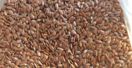 Nuestra empresa, SEEDMARKET LLC, con sede en Moscú, Rusia,