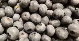 Blueberry blueberry bluecrop 15+. Envasado en cestas de 3