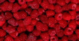 ¡Buenos días! Vendemos al por mayor cerezas, albaricoques, nectarinas,