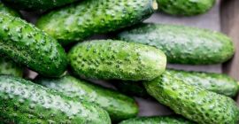 Hola, vendo pepinos molidos orgánicos. Perfecto para encurtir. Por