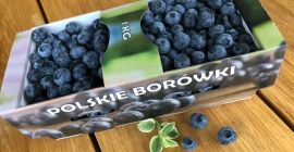 Venderé arándanos de mi propio cultivo. Para cantidades mayores,