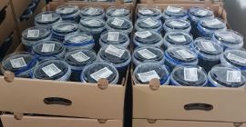 Venderé arándanos de nuestra propia plantación, recolectamos de 3