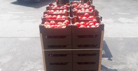 Ofrecemos paletas o camiones enteros de cerezas griegas de