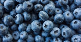 Hola, vendo arándanos de mi propia plantación. Cantidades: 200-500Kg