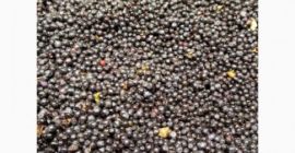 Una empresa con experiencia en la compra y procesamiento