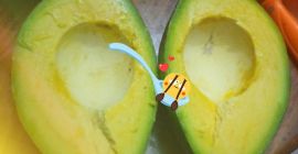 Los mejores aguacates frescos de las tierras altas de