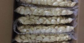 Ofertas para considerar la posibilidad de entrega y venta