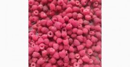 Una empresa con experiencia en la compra y procesamiento