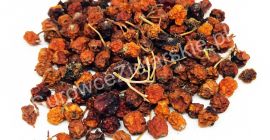 Venderé fruta Rowan (Sorbus aucuparia fructus), grandes cantidades de