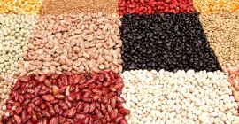 Frijoles de los campos de Ucrania Ofrecemos comprar frijoles