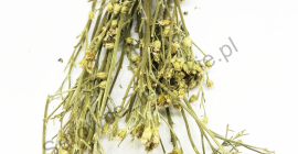 Flor de milenrama (Millefolii flos) y hierba de milenrama