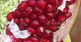 Estimados clientes, les ofrezco dulce granada.