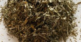Venta de hojas de espino amarillo (Hippophaes rhamnoides folium),