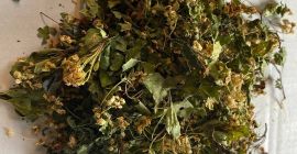 Venderé una flor con una hoja (Crataegi flos), grandes