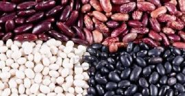 Venta de frijoles al por mayor. Producción de frijoles