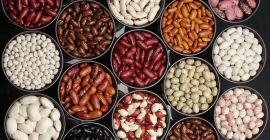 La empresa ucraniana &quot;Bins Naturprodukt&quot; se dedica a la