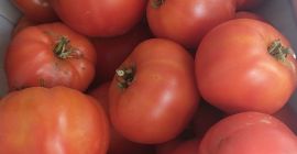 Te invito a comprar tomate molido, no rociado