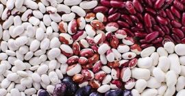 Proponemos comprar frijoles a granel de la compañía Bins