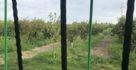 Por favor contáctenos para saber precios. Los precios son