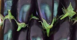 Vendo berenjena aragonesa