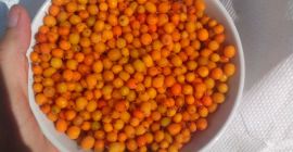 Vendiendo espino amarillo de flora espontánea, ofrecemos grandes cantidades.