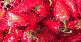 Hola, Venderé pimiento picante, variedad ciclón Rwana, de manera