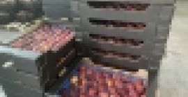 Somos una empresa que se enfoca en comercializar y