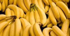 Nombre del producto Plátano Cavendish fresco Tamaño grande de