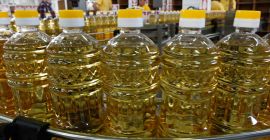 El aceite de canola es un aceite vegetal derivado
