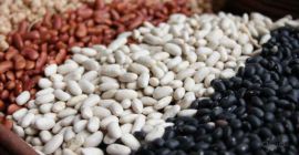 Exportación de frijoles de Ucrania Exportamos granos de calidad