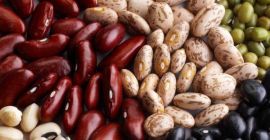 Frijoles de los campos de Ucrania, nueva cosecha, al