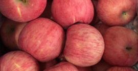 Nombre del producto&gt; Fresh Fuji Apple Note&gt; Fresco, jugoso,