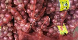 Cebollas rojas de calidad para la venta Póngase en
