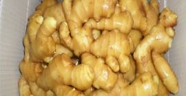 Nombre Tipo de jengibre Jengibre fresco, jengibre seco al