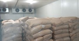 Venta de moras silvestres, 15 toneladas. El precio es