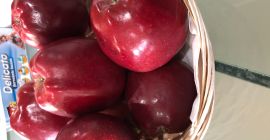 Vendemos variedad Gala, calibre 70+, envasada en cajas de