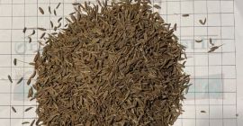 Vendo comino, hay 19500 kg en 25 kg ppb,