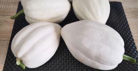 Venderé calabazas de bellota de mi propio cultivo orgánico