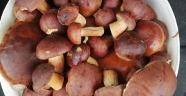 Vendo boletes de 5l por 50 PLN.