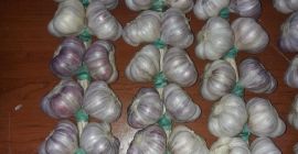 AJO HARNAŚ POLACO - aromático, intenso. 1. Una trenza